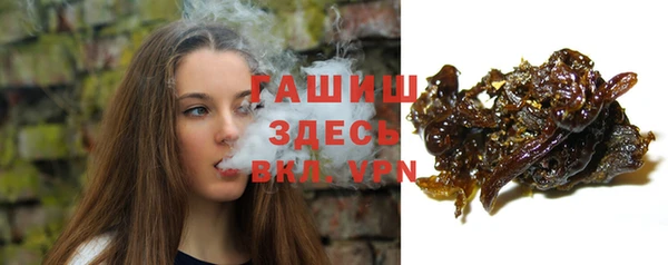 сатива Кодинск