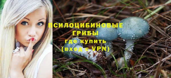 сатива Кодинск