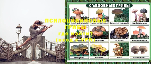 сатива Кодинск