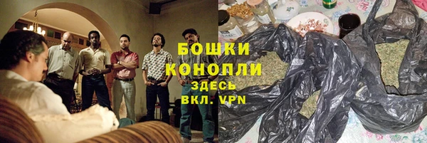сатива Кодинск
