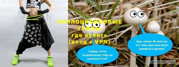 соль ск Козельск